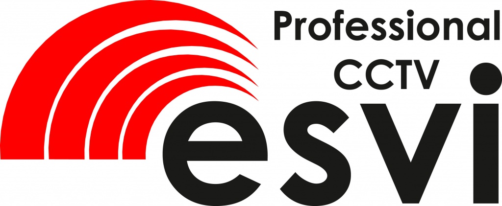 logo_ESVI_black_9.jpg logo_ESVI_black_9.jpg